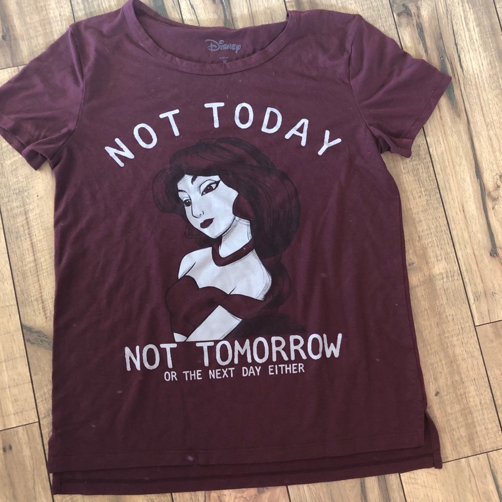 Disney Aladdin/Jasmine Shirt ‘Not Today’